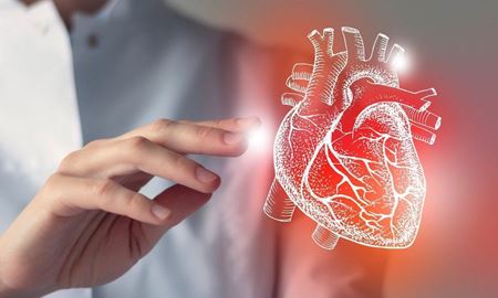 پژوهش جدید: قلب خود را با سلول‌های ترمیمی بازسازی می‌کند