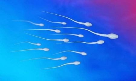 آلاینده‌های شیمیایی باعث کاهش تعداد اسپرم در مردان