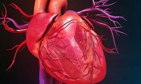 بازسازی سلول‌های قلب با روش درمانی mRNA