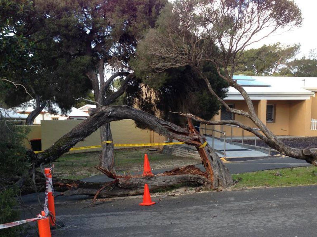 media.news.imagealternatetextformat.details