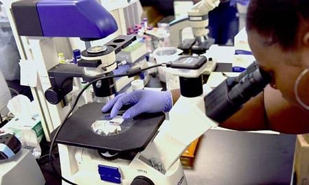 لانگیا ویروسی جدید و کشنده توسط چینی‌ها کشف شد