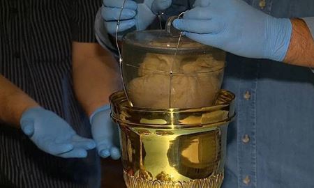 بازگشت قلب نخستین امپراتور برزیل پس از ۲۰۰ سال به این کشور