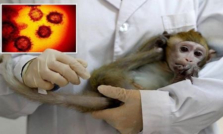 ابتلا یک مرد36 ساله به سه بیماری کرونا، HIV و آبله میمون