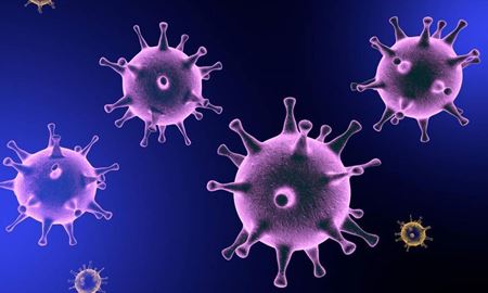 پنج ویروسی که ممکن است به همه ‌گیری در استرالیا بینجامد   