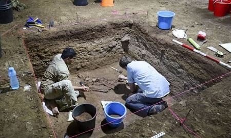 کشف شواهدی از قطع عضو پزشکی در عصر سنگی