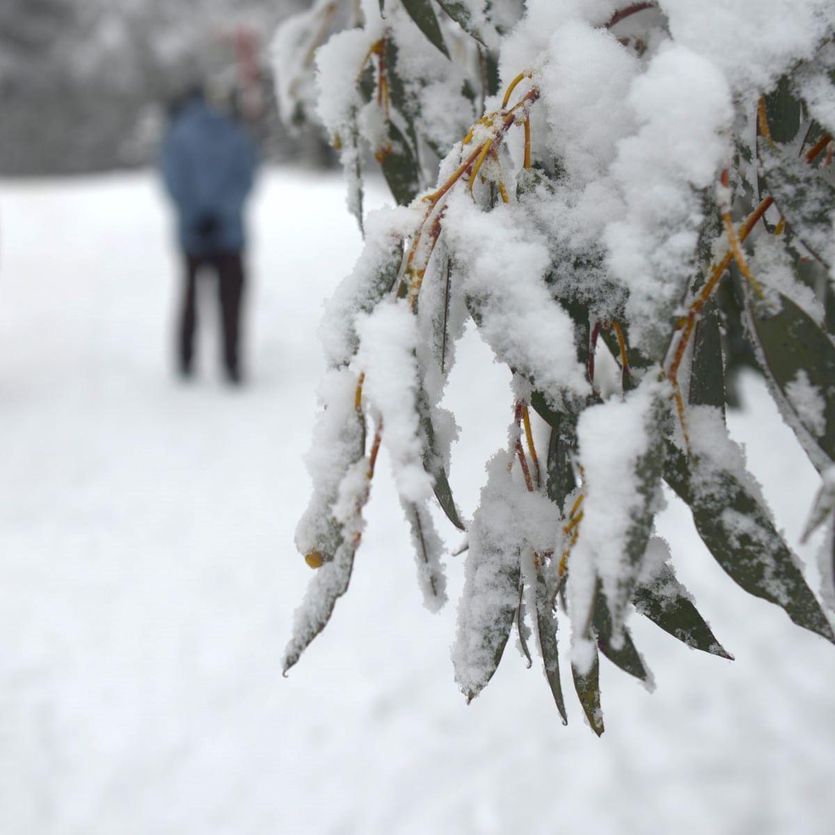 media.news.imagealternatetextformat.details