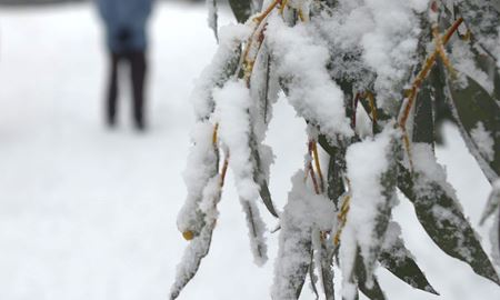 وزش تند باد، هوای سرد و بارش باران و برف در انتظار استرالیا