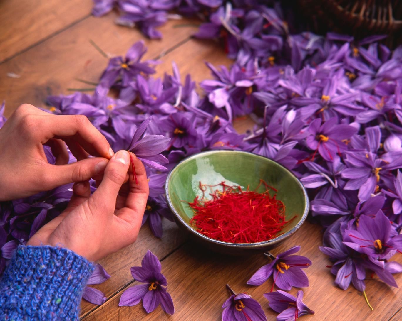 media.news.imagealternatetextformat.details