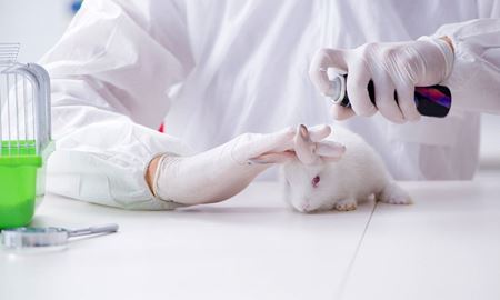  الزام انجام آزمایش‌ حیوانی برای برخی داروها در آمریکا حذف می‌شود