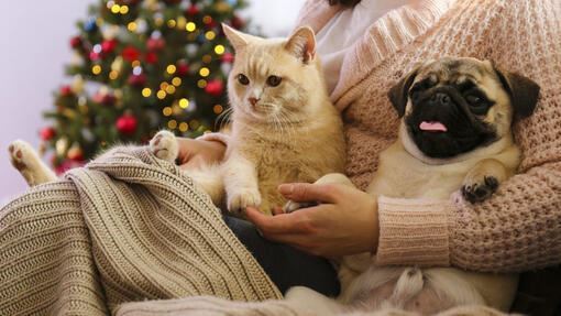 media.news.imagealternatetextformat.details