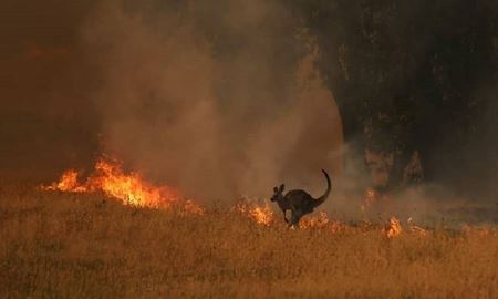 ممنوعیت روشن کردن آتش در بخش‌های مختلف ایالت ویکتوریای استرالیا