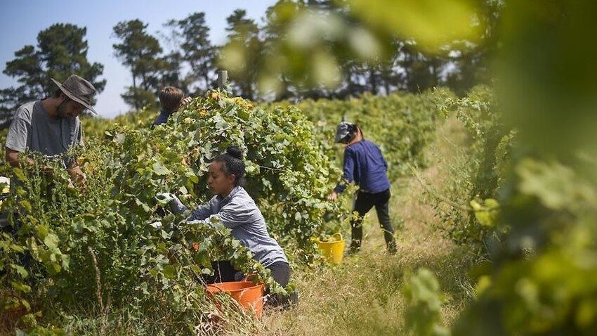 media.news.imagealternatetextformat.details