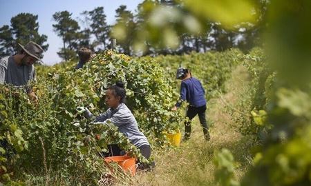 ارائه لایحه مقابله با استثمار کارگران خارجی به پارلمان استرالیا