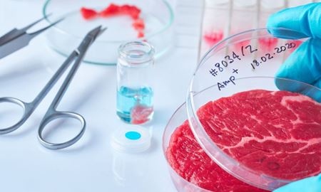 عرضه گوشت آزمایشگاهی در فروشگاه‌های استرالیا