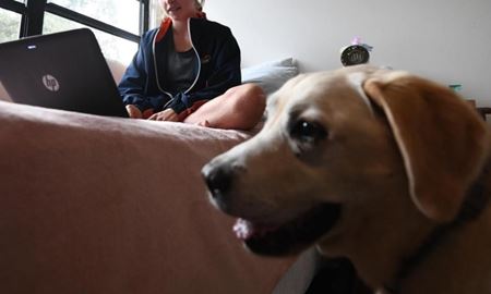 تخصیص بودجه برای حیوانات افراد در معرض خشونت خانگی در کوئینزلند