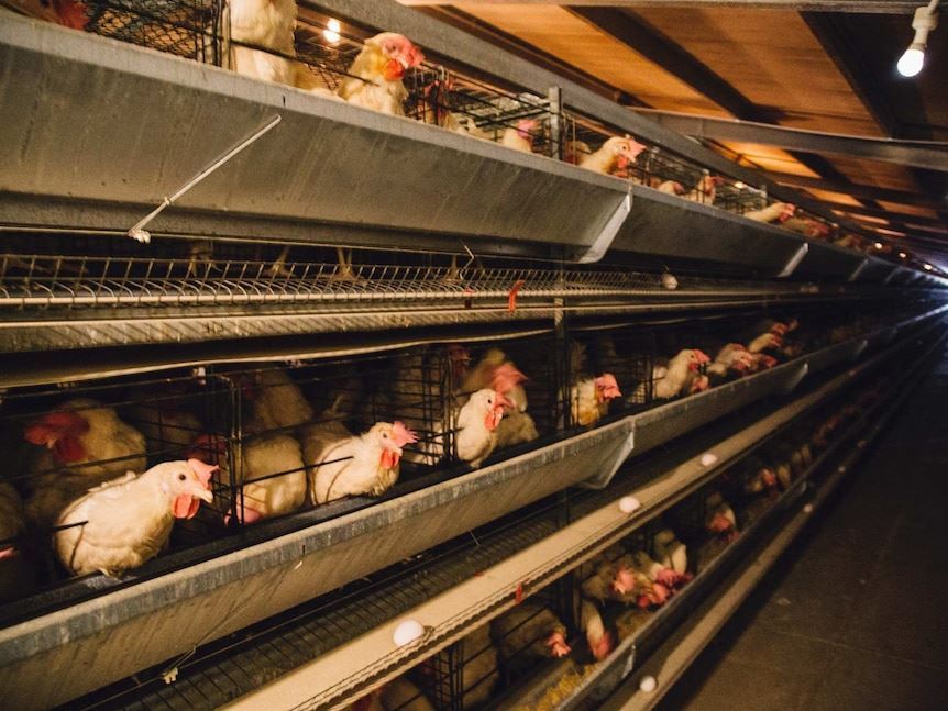 media.news.imagealternatetextformat.details