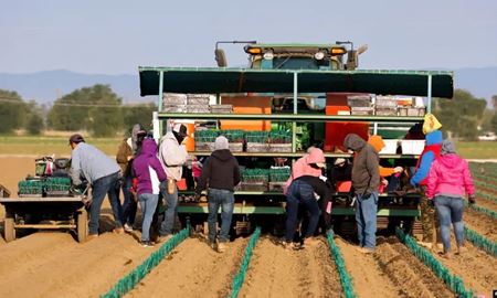 تقاضا برای حمایت بیشتر از کارگران مهاجر در معرض استثمار در استرالیا