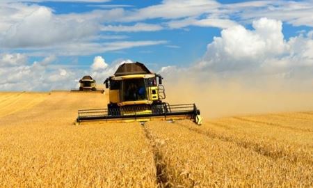 چین هنوز تعرفه‌های واردات جو از استرالیا را لغو نکرده است