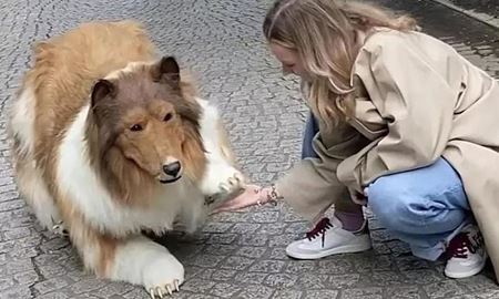 هزینه ۱۲ هزار یورویی یک مرد ژاپنی، برای تبدیل شدن به سگ!