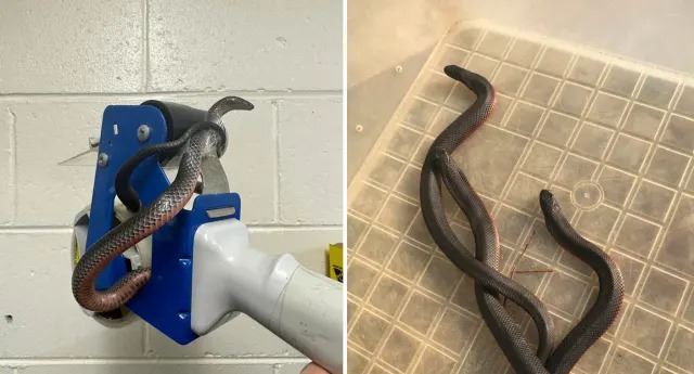 media.news.imagealternatetextformat.details