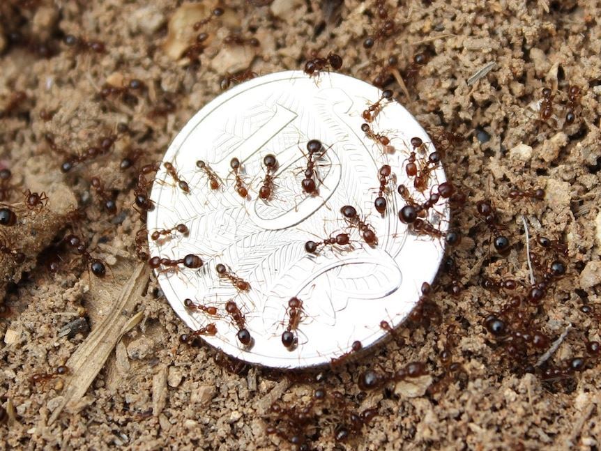 media.news.imagealternatetextformat.details