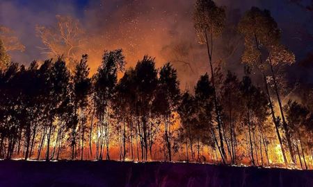 تلاش نیروهای آتش‌نشانی نیوساوت‌ولز برای مهار آتش‌سوزی جنگل