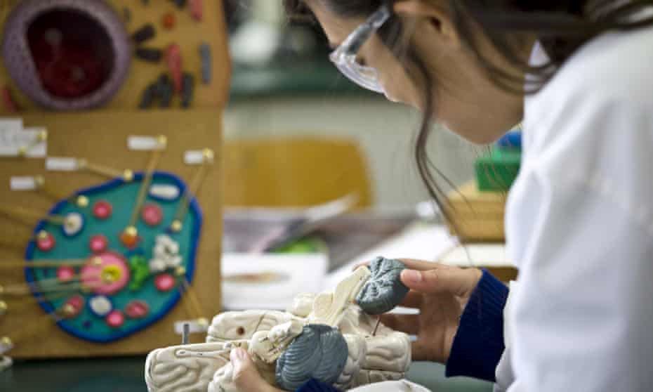 media.news.imagealternatetextformat.details