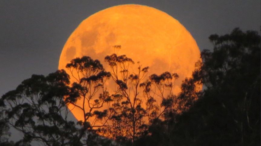 media.news.imagealternatetextformat.details