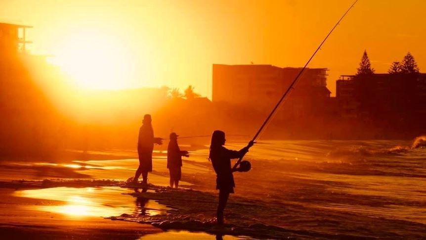 media.news.imagealternatetextformat.details