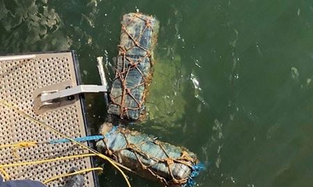 کشف بیش از 200 کیلوگرم کوکائین از یک کشتی باربری در بندر ملبورن