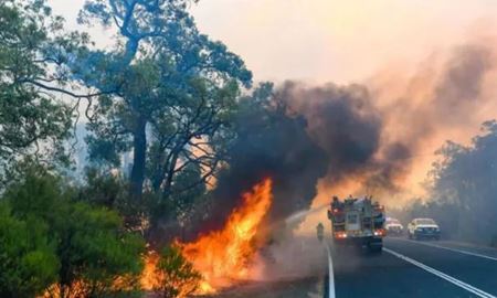 افزایش دمای هوا و تشدید خطر آتش‌سوزی جنگل در بخش‌هایی از ویکتوریا