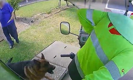 در استرالیا هر هفته 55 پستچی هدف حمله سگ‌ها قرار می‌گیرند