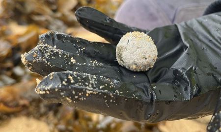 بازگشت گلوله‌های زباله مرموز به سواحل نیوساوت‌ولز: ابهام در منشأ و نگرانی از آلودگی 