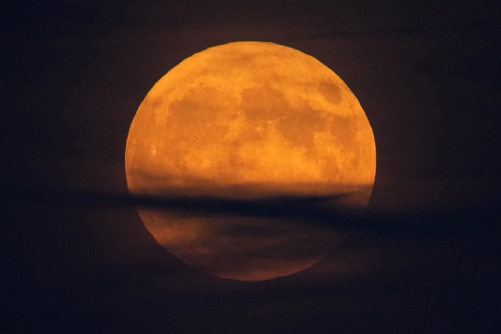 media.news.imagealternatetextformat.details