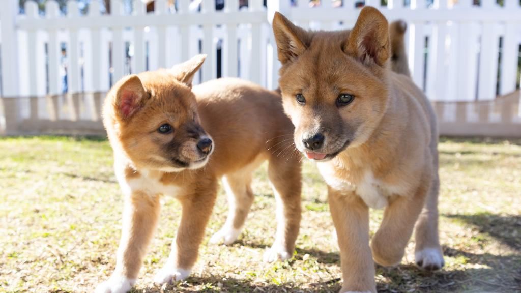 media.news.imagealternatetextformat.details