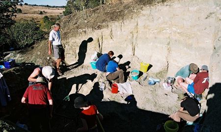 کشف فسیل کروکودیل‌های ماقبل تاریخ در ایالت کوئینزلند که از درخت بالا می‌رفتند!