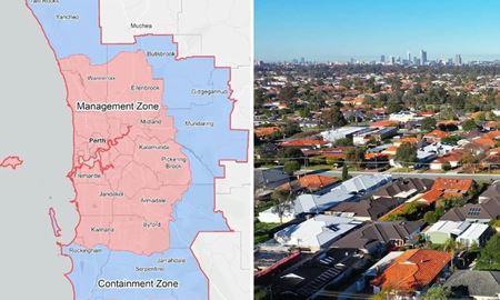 قرنطینه کامل پایتخت ایالت استرالیای غربی برای مبارزه با آفت مخرب سوسک درختان