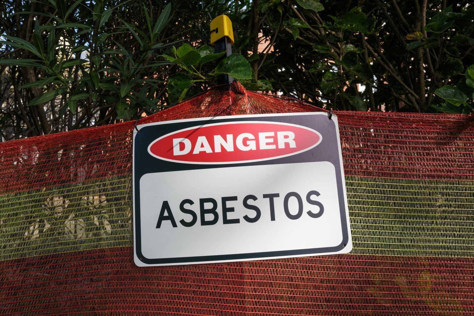 media.news.imagealternatetextformat.details