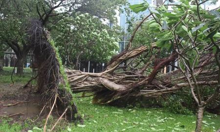 توفان فینا قلمرو شمالی را درنوردید؛ خسارت گسترده و فروریختن بخشی از سقف بیمارستان رویال داروین