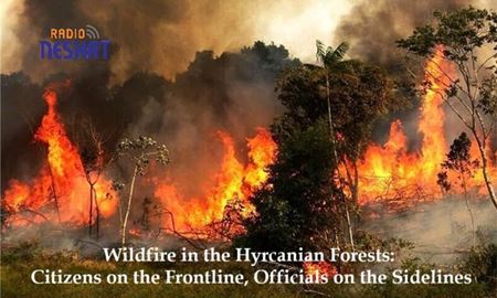 آتش‌سوزی گسترده در جنگل‌های هیرکانی؛ مردم در میدان، مسئولان در حاشیه
