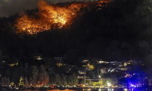 media.news.imagealternatetextformat.details