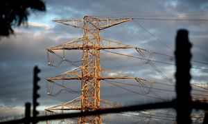 media.news.imagealternatetextformat.details