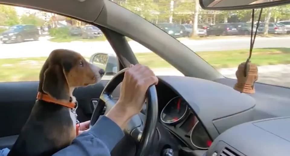 media.news.imagealternatetextformat.details