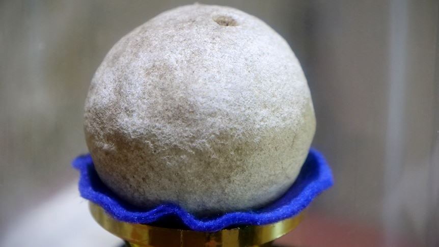 media.news.imagealternatetextformat.details