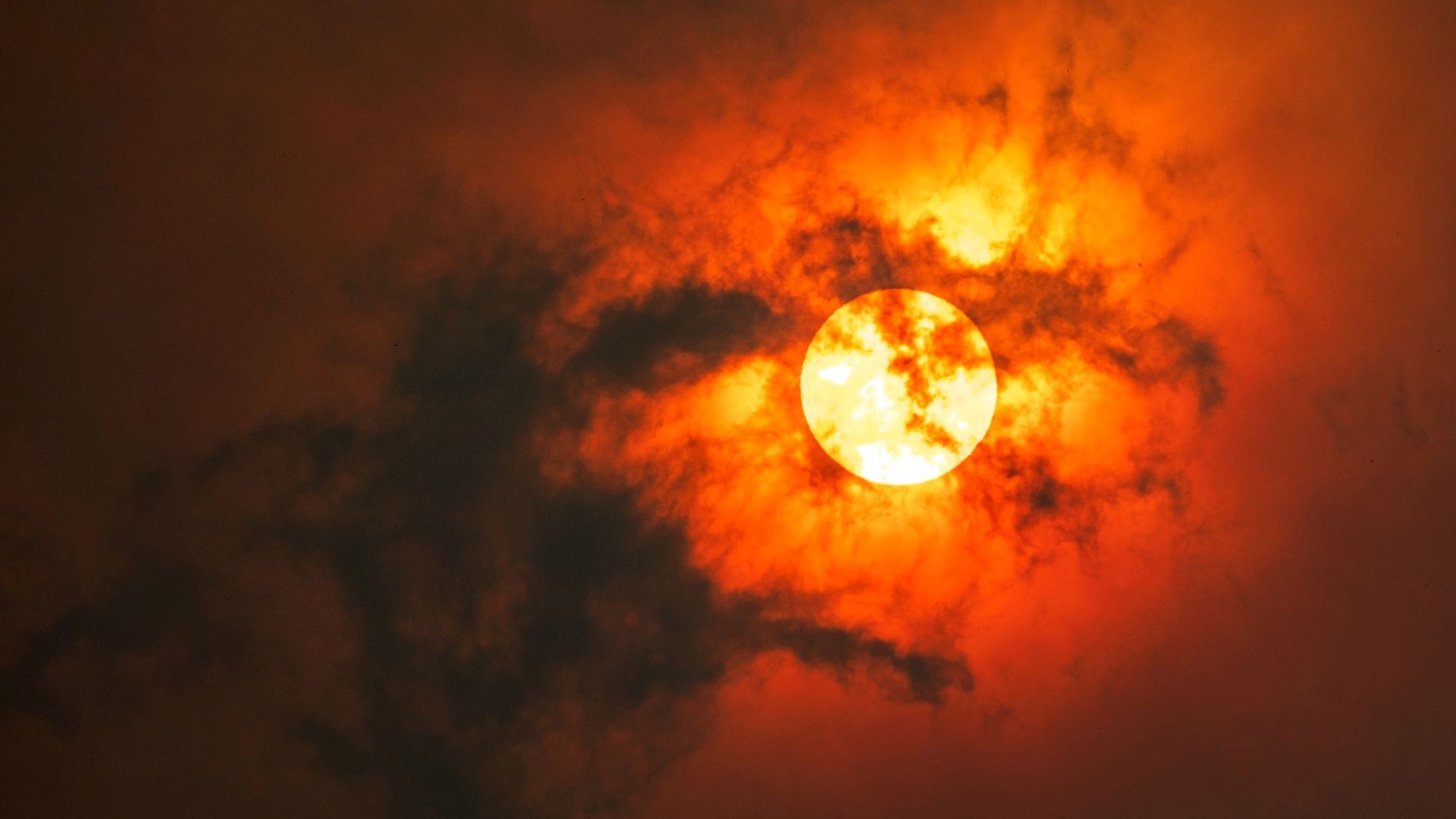 media.news.imagealternatetextformat.details