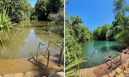 هشدار جدی به شناگران در قلمرو شمالی؛ به دنبال به دام افتادن تمساح غول پیکر 4.9 متری