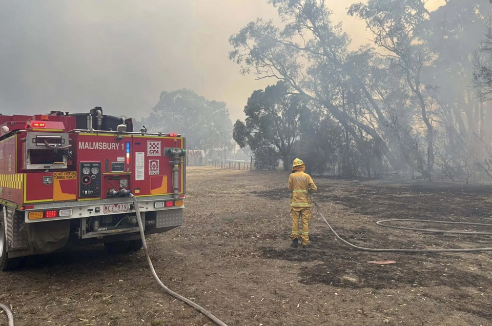 media.news.imagealternatetextformat.details