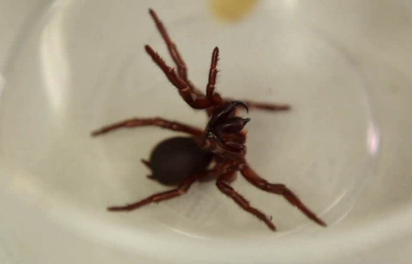 media.news.imagealternatetextformat.details