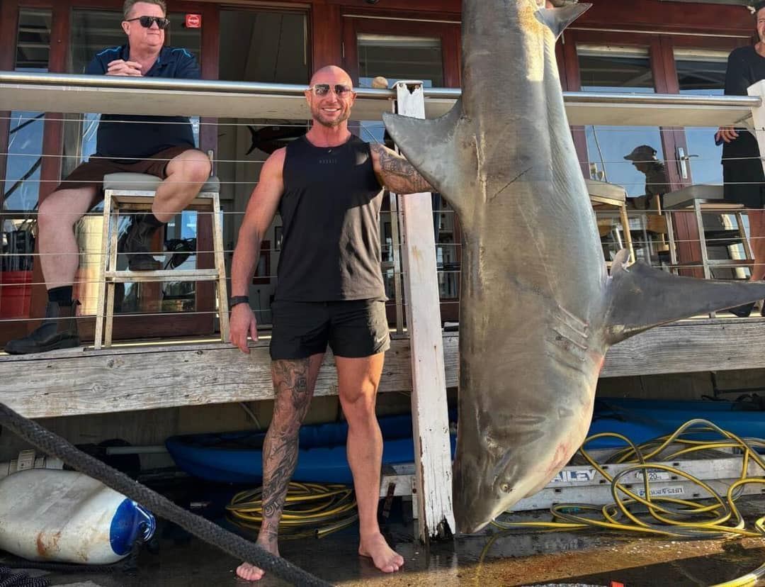 media.news.imagealternatetextformat.details